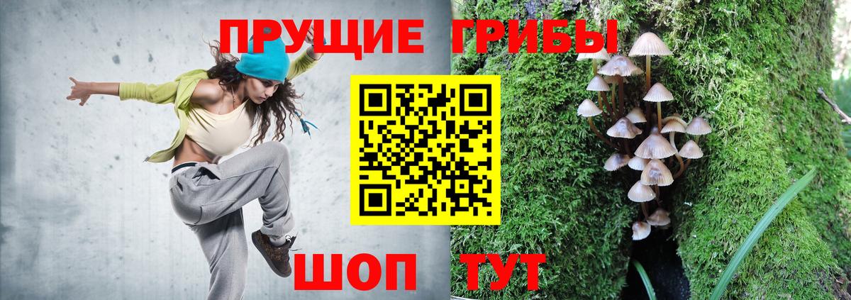 Нововоронеж  Псилоцибиновые грибы прущие грибы  Вход с VPN 