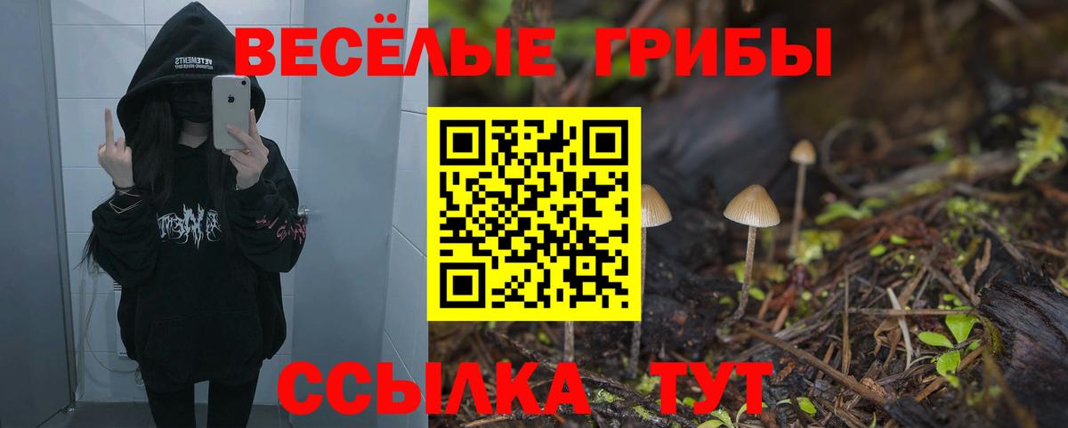 Псилоцибиновые грибы Magic Shrooms Нововоронеж